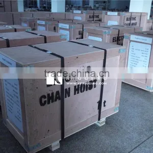 Factory Price Electric Chain Hoist thumbnail-5