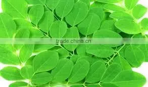 PKM1 Moringa Seed - India Origin thumbnail-5