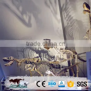 Life-Size Jurassic Park Dinosaur Fossil thumbnail-1