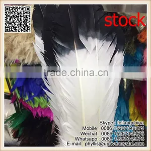 Wedding Party Bridal Wing Decoration White Turkey Black Tip Feather thumbnail-1