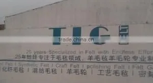 Nangong TIGI Felt Co., Ltd. company overview - view 1 thumbnail