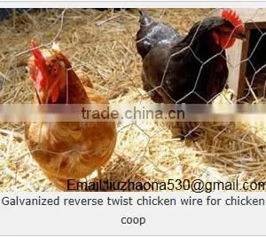 Hexagonal Mesh (anping Manufacturer), Twisted Mesh thumbnail-4