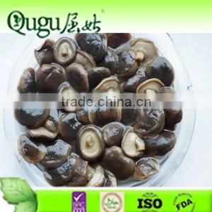 Canned Shiitake in Glass Jar Shiitake in Brine Shiitake Supplier thumbnail-1