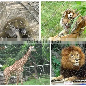 Anping Stainless Steel Zoo Aviary Mesh thumbnail-1