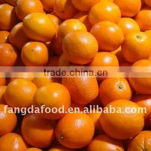 Chinese Fresh Sweet Navel Orange thumbnail-1