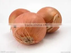 Non-peeled Fresh Onion thumbnail-1