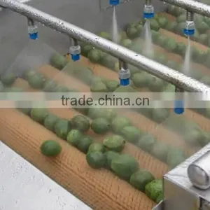Full Automatic Industrial Vegetable And Fruit Washing Washer and Drying Dryer Machine thumbnail-5