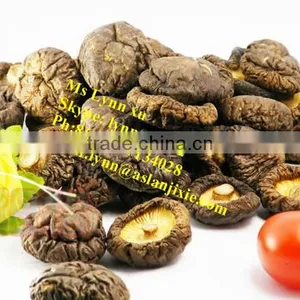 High Quality Mushroom /dry Shiitake Mushroom thumbnail-4