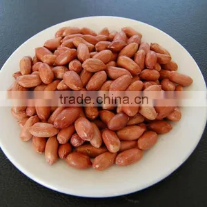 Shandong Roasted Peanut With Red Skin Crop thumbnail-1