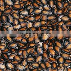 Delicious Snack Black Watermelon Seeds for You thumbnail-1