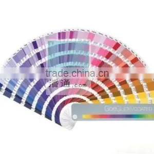Pantone GoeGuide RGB Value GSGS001 thumbnail-4