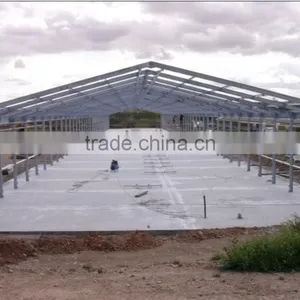Steel Structure Chicken Shed /environmental Control Steel House thumbnail-5