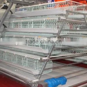 One Day Old Chicks Chicken Cage thumbnail-1