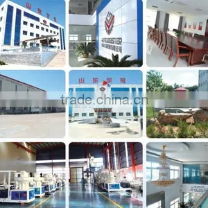 CE Approved Wood Pellet Mill / Sawdust Wood Pellet Mill / Press Machine thumbnail-6
