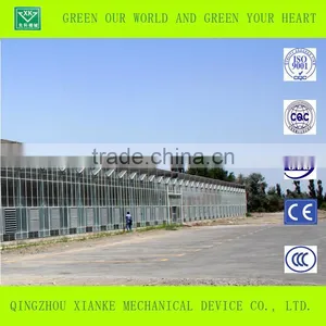 Vegetable Venlo Multi-span Glass/ pc Sheet Greenhouse With Factory Price thumbnail-4