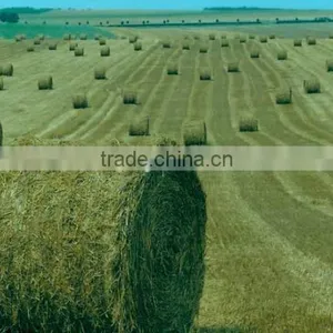 UV Treated Dark Green Silage Bale Net Wrap thumbnail-6