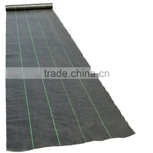 Agricultural Black Ground Cover thumbnail-3