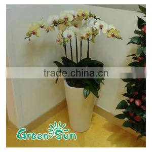 Office Flower Pots, Meeting Room Big Pots for Tree, Oversize Flower Pots thumbnail-1