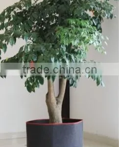 Hydroponics System Grow Tree Bag thumbnail-1