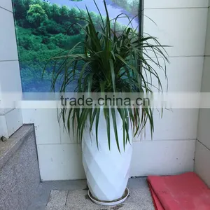 Fiberglass Planter Pot thumbnail-1