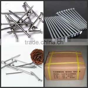 China Iron Nail/common Iron Nails/iron Wire Nails Supplier thumbnail-1
