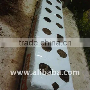 Grow Bag thumbnail-1