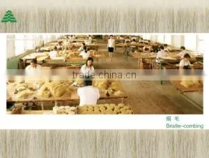 Jinshi Jinxiang Bristles Industrial Co., Ltd. company overview - view 3 thumbnail