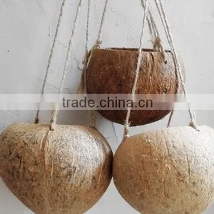 Ex-fty Most Affordable Coconut Box/storage Container for Green Plant thumbnail-5