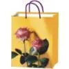 India Shopping Bags thumbnail-1