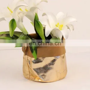 D15*H18cm Unique Washable Paper Bag, Transparent Water Resistant Paper Bag, Waterproof Paper Bag Supplier thumbnail-5