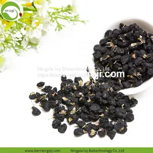 Factory Hot Sale Dried Wild Black Wolfberry thumbnail-1