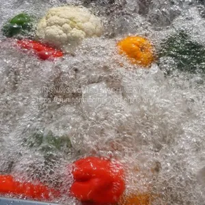 Fruit and Vegetable Washing Machine / Leafy Vegetable Washer WT/8613824555378 thumbnail-4
