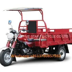 Gasoline Tricycle Cargo Loader Lovol Three Wheeler Mali Ethiopia Ghana Bukina Faso Tanzania Kenya Senegal Togo Benin Nigeira Mauritania Angola Burundi Chad Cameroon C ô te D'Ivoire Gabon Guinea Mozambique Rwanda Congo Uganda Zimbabwe thumbnail-2