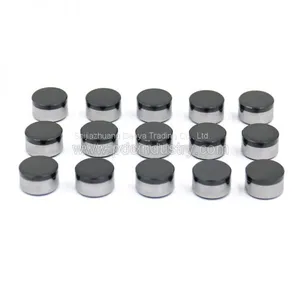 PDC Cutters Customized PDC Cutters Oil Exploration PDC Cutters thumbnail-1