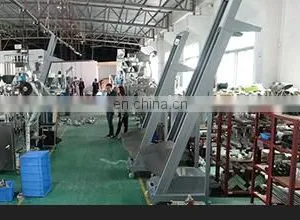 Automatic Food Preservatives Pouch Bags Sachet Detergent Snus Powder Packing Machine thumbnail-4