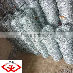Galvanized Barbed Wire(factory) thumbnail-1