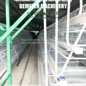 Chicken Layer Cages for Sale thumbnail-4