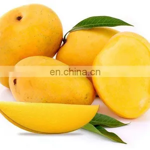 High Quality Fresh Mango Export Originating From Vietnam thumbnail-3