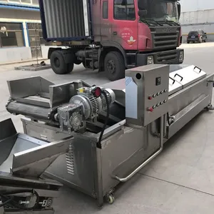 Washing, Cutting, Blanching Machine for Fruit and Vegetable Processing Line thumbnail-2