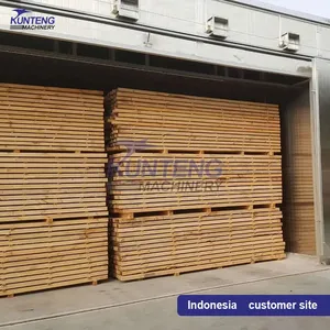 Large Scale Wood Board Drying Machine Camphor Walnut Rosewood Date Palm Oak Drying Oven thumbnail-2