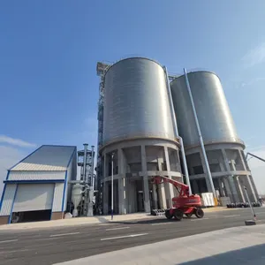 800T Customized Galvanized Steel Feed Silo for Poultry Farm Animal Feed Storage System thumbnail-2