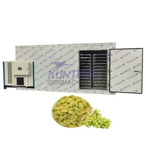 Electric Heat Pump Dryer Fruit Drying Room House Food Dehydrator Machine Grape Raisin Drying Machine EPC thumbnail-1