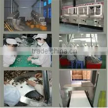 Lianfeng (Suizhou) Food Co., Ltd. company overview - view 2 thumbnail
