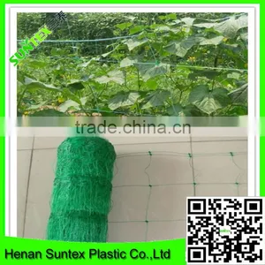 pe Orchard Net and Professional Agricultural Net for Vegetable Support thumbnail-3