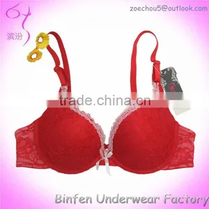 All Over Lace Stylish Hot Sexy Bra Photos thumbnail-1