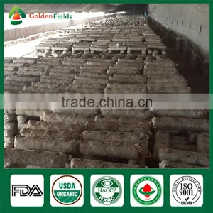 Gourmet Shiitake Mushroom Fresh Dry Shiitake Mushroom Seeds Growing Lentinula Edodes Health Food Donko Shiitake thumbnail-5
