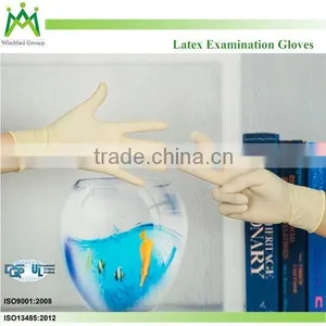 Powder Free and Powdered Professional Latex Exam Glove thumbnail-2