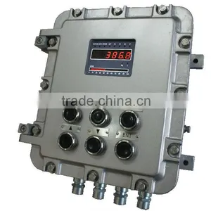 Belt Weighfeeder Controller thumbnail-2