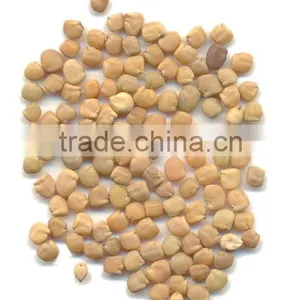 Guar Seeds thumbnail-1