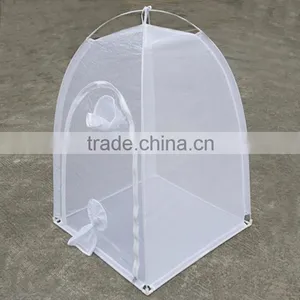 Portable Mini Mesh Insect House thumbnail-1